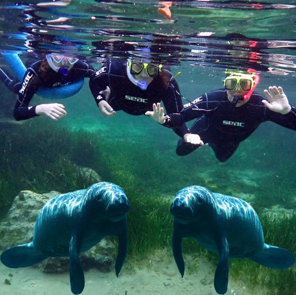 Meet your Posher, Margie